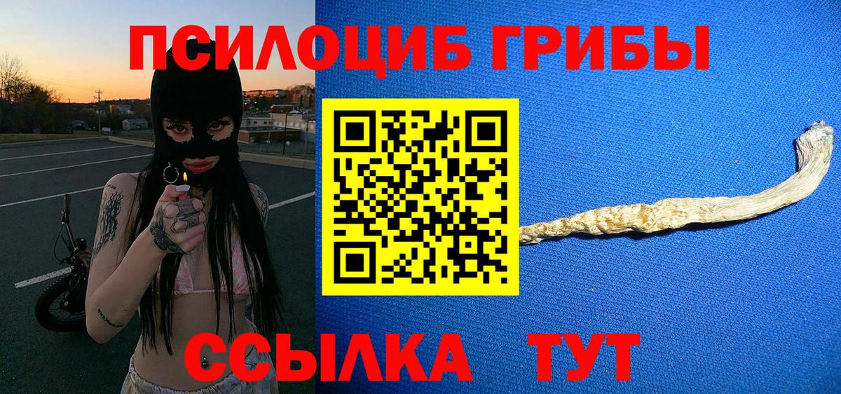 Галлюциногенные грибы Psilocybine cubensis Елизово