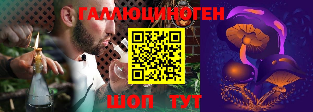 что такое   Вход с VPN  Елизово  Галлюциногенные грибы Magic Shrooms 
